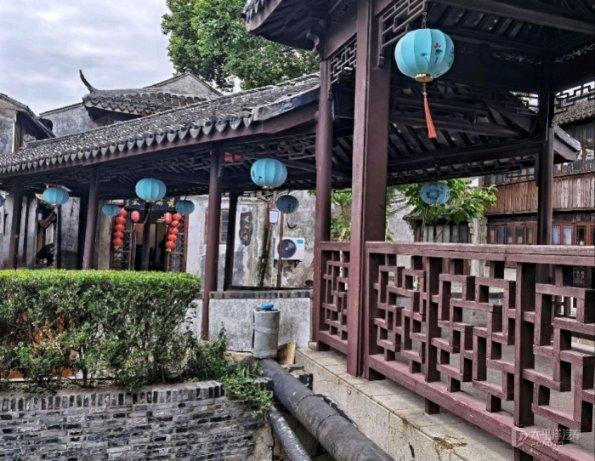 仓鼠学拼音